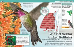 Innenansicht 7