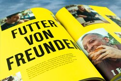Innenansicht 15