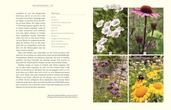 Innenansicht 6