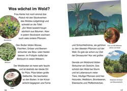 Innenansicht 2