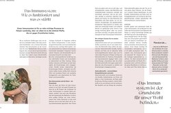 Innenansicht 4