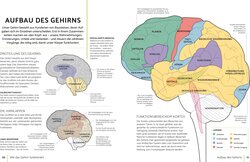 Innenansicht 3