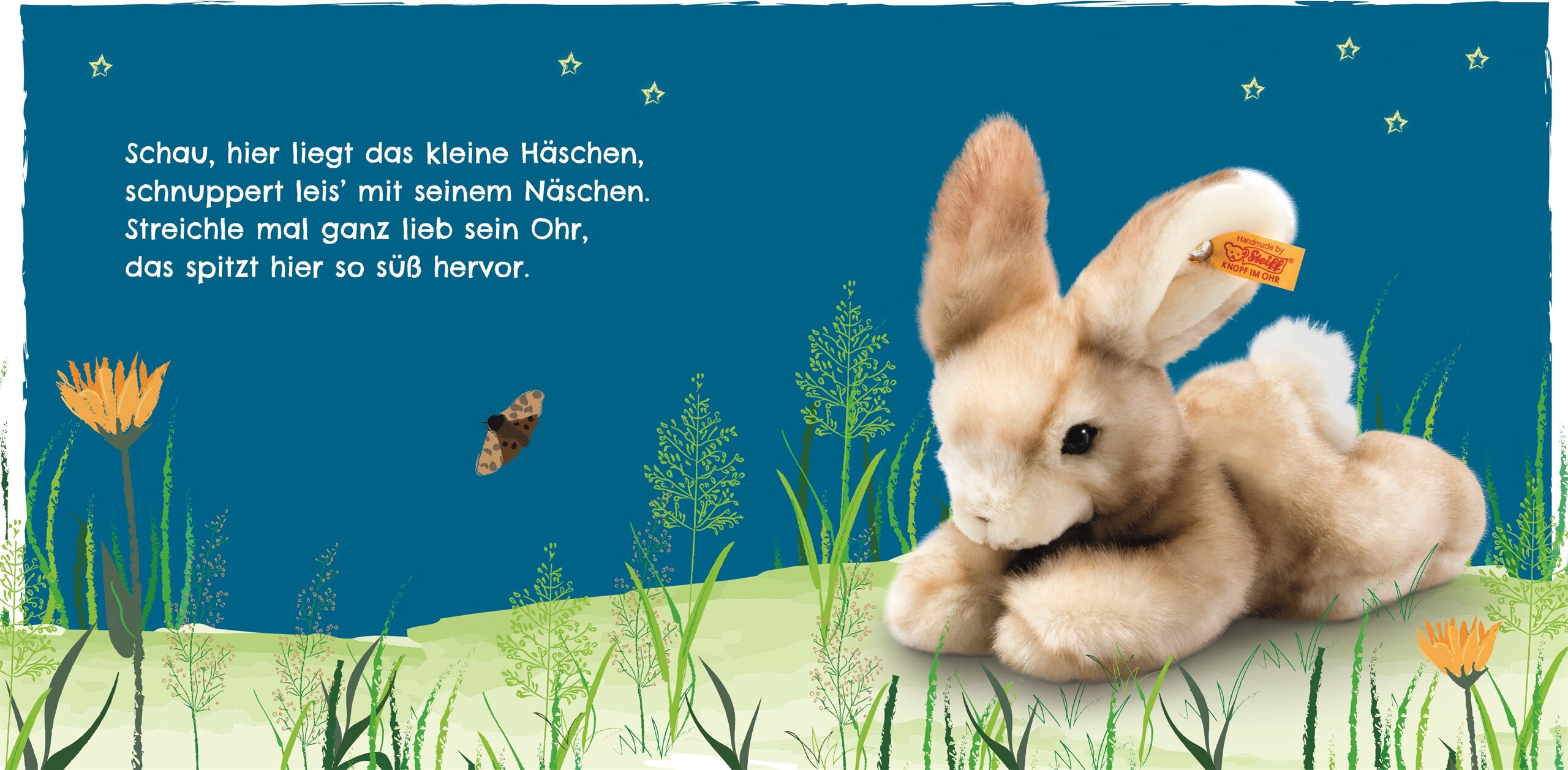 lesen