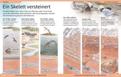 Innenansicht 5