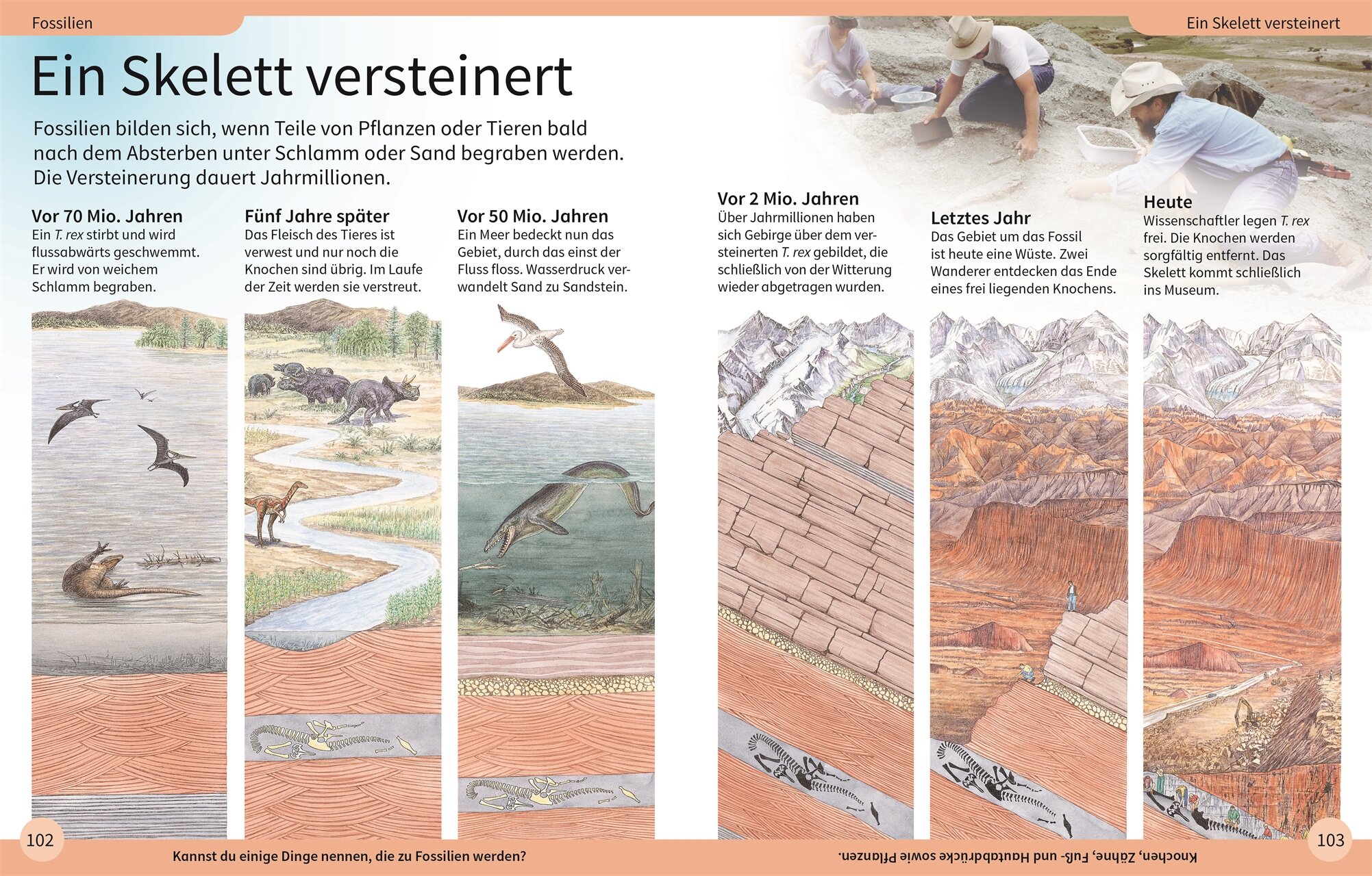 lesen
