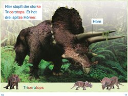 Innenansicht 3