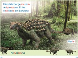 Innenansicht 4