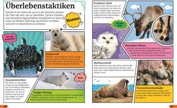 Innenansicht 5