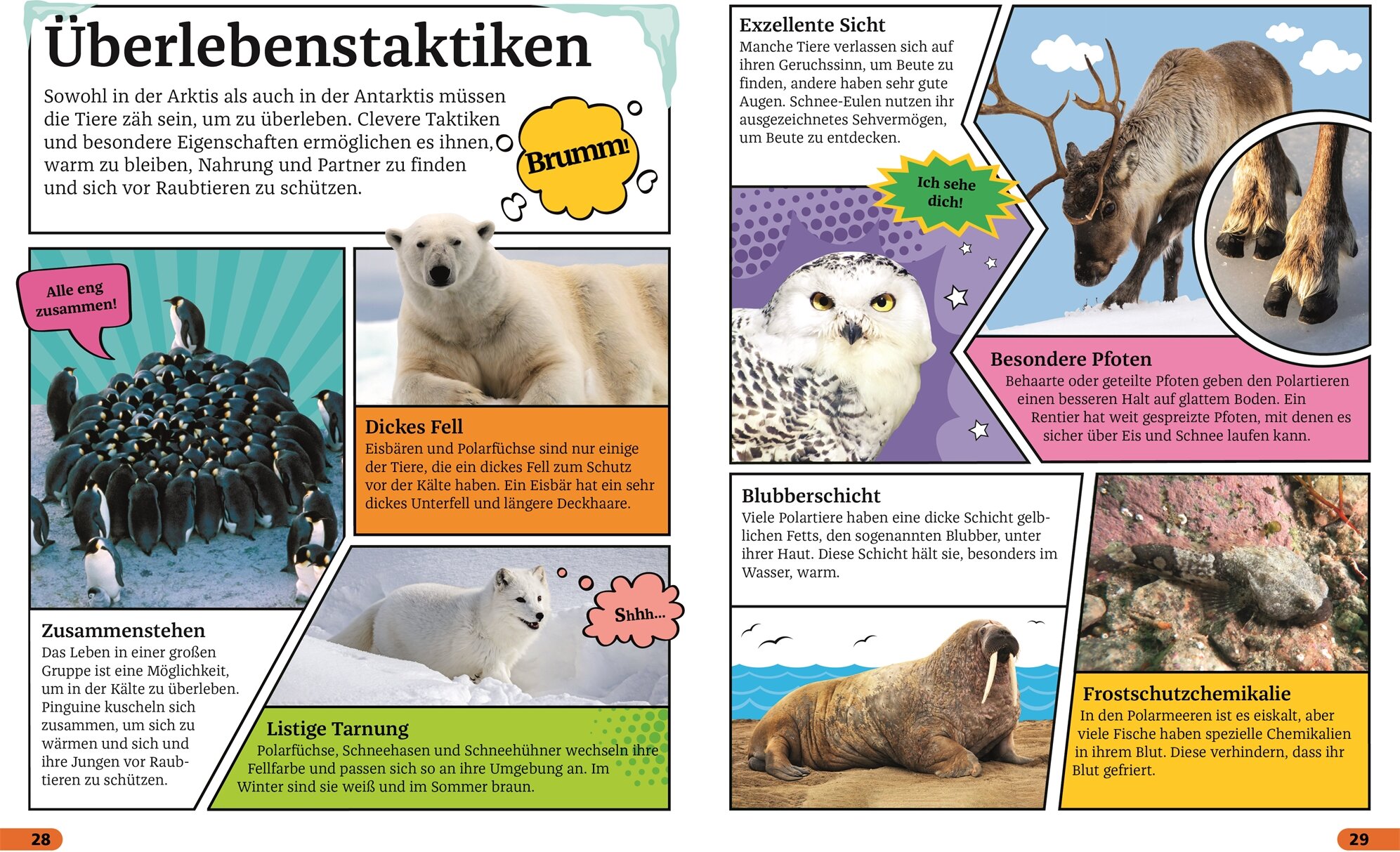 lesen
