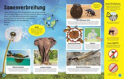 Innenansicht 4