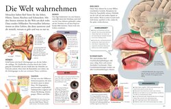 Innenansicht 7