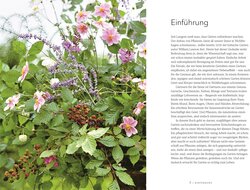 Innenansicht 2