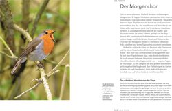 Innenansicht 7