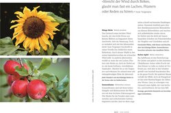 Innenansicht 8