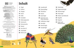 Innenansicht 1