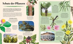 Innenansicht 7