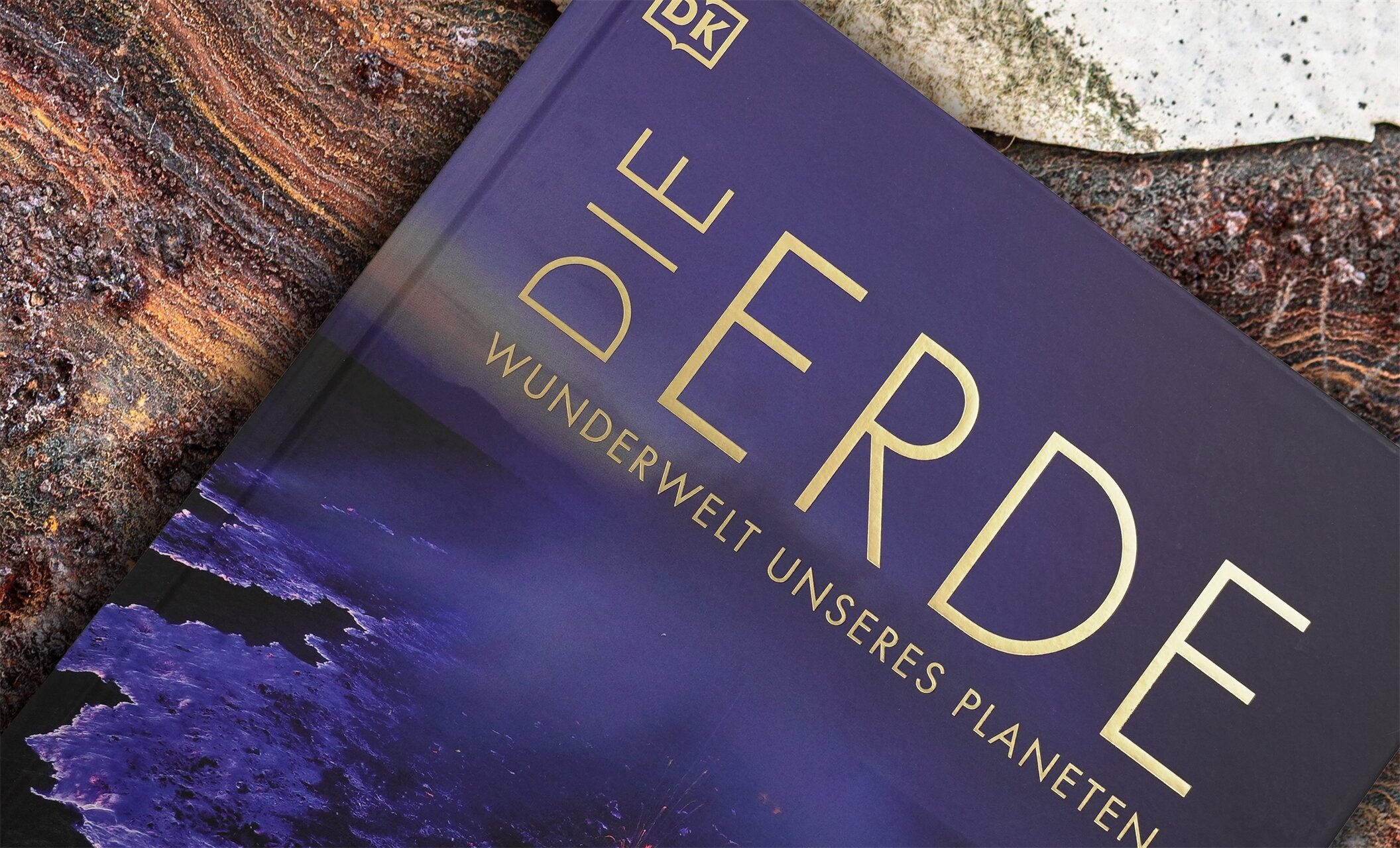 lesen