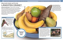 Innenansicht 1