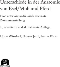 Inhaltsverzeichnis