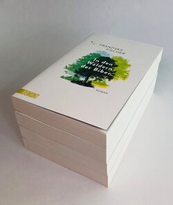 Innenansicht 1