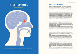 Innenansicht 2