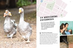 Innenansicht 6