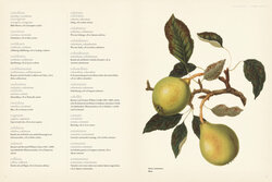 Innenansicht 2