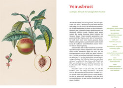 Innenansicht 3