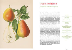 Innenansicht 5