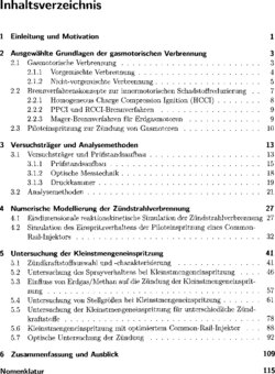 Inhaltsverzeichnis 1