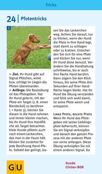 Innenansicht 5