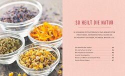 Innenansicht 2