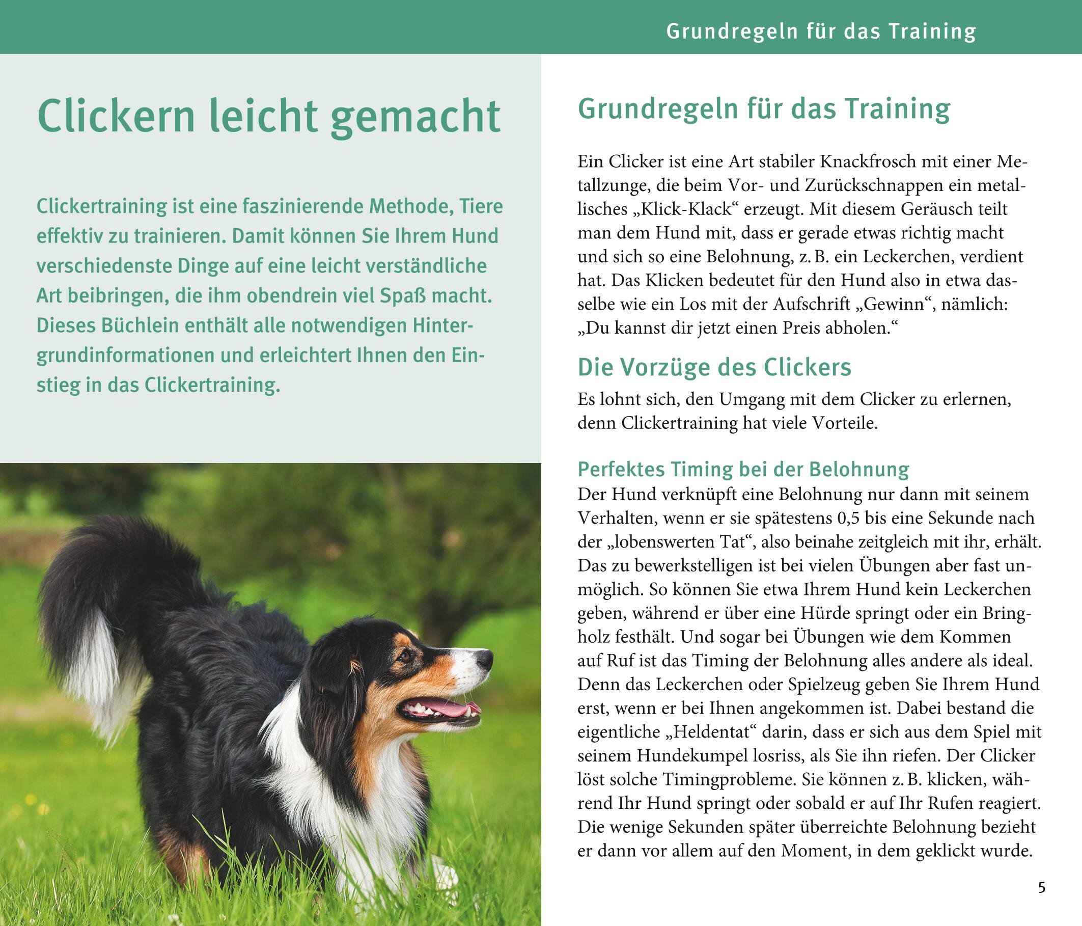lesen