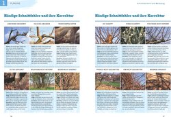 Innenansicht 1