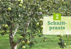 Innenansicht 2