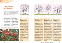 Innenansicht 5