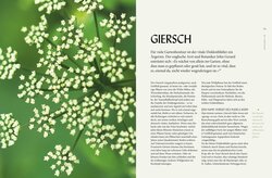 Innenansicht 2