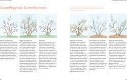 Innenansicht 4