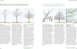 Innenansicht 5