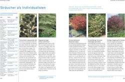 Innenansicht 6
