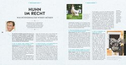 Innenansicht 4