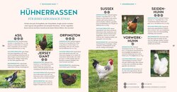 Innenansicht 5