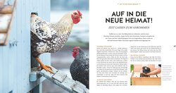 Innenansicht 6