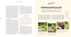 Innenansicht 7