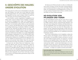 Innenansicht 4