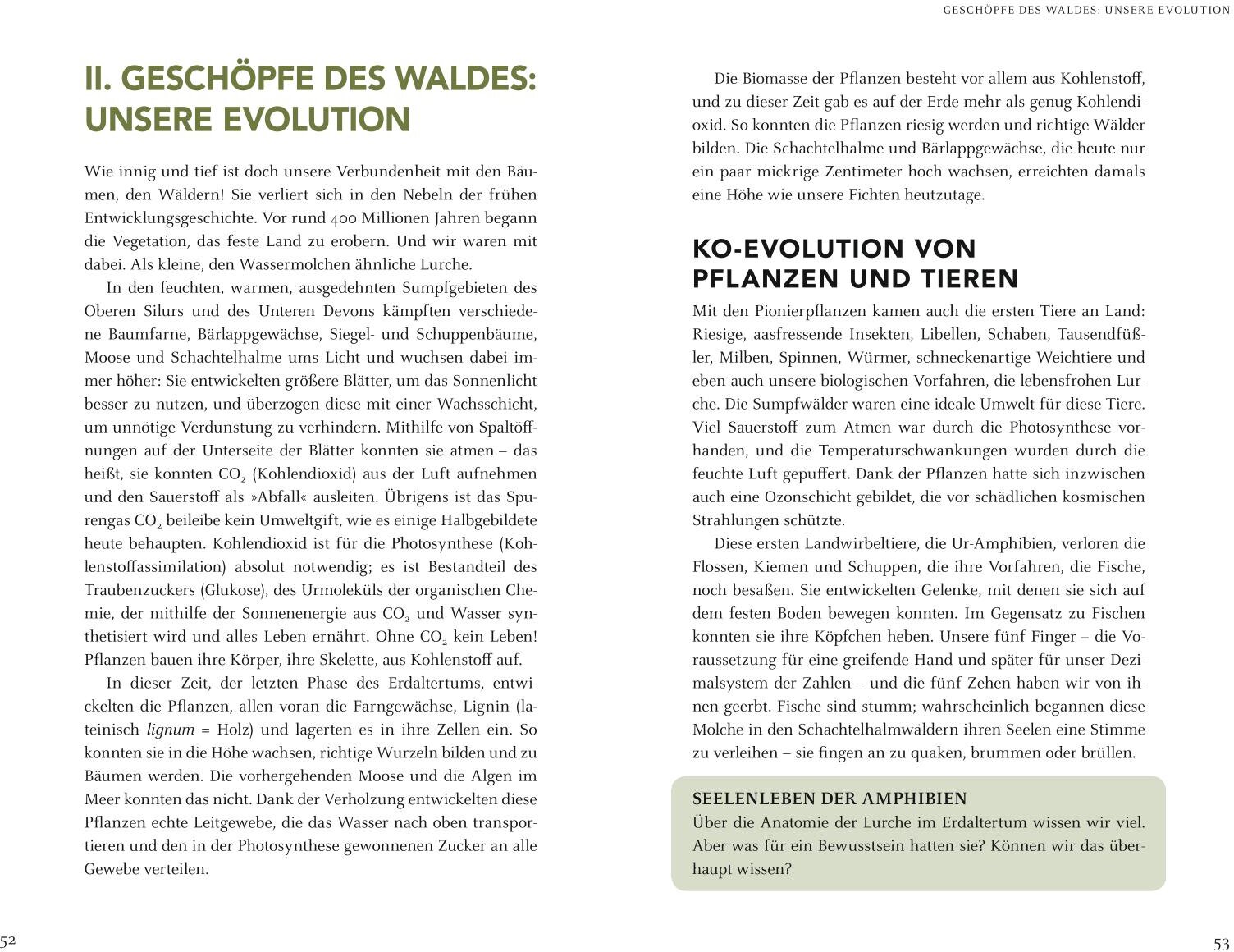 lesen