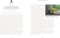 Innenansicht 6