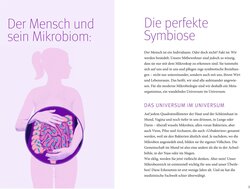 Innenansicht 2