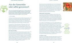 Innenansicht 6