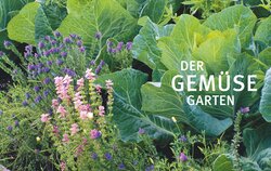Innenansicht 2